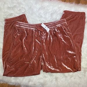 NWT J. Crew Coral Pink Velvet Pants Jogger XL 14 Pockets